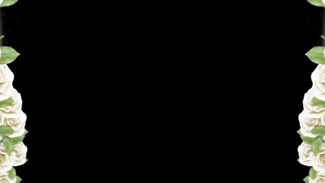 Футаж Белые розы вертикально смотреть онлайн