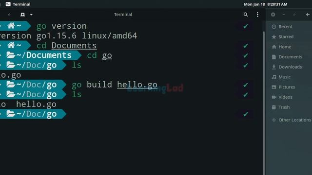 How to Build and Run a Go ( golang ) Program in Linux Operating System смотреть онлайн