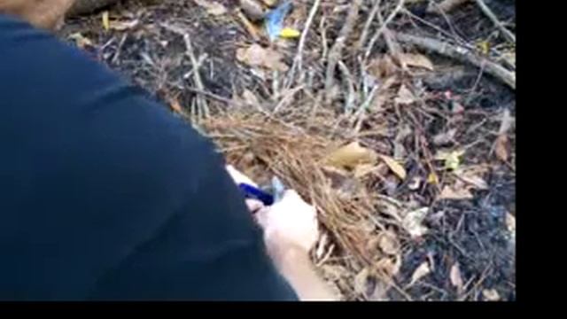 Tool Logic Survival Card 3 of 3 смотреть онлайн