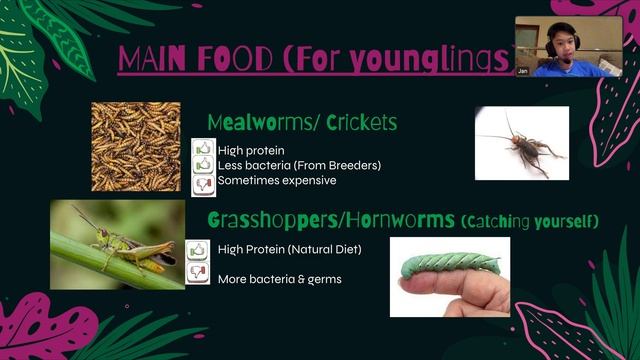 ?Calotes Versicolor Care Guide? || Everything You Need To Know смотреть онлайн