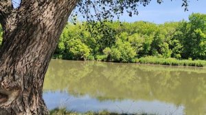 Йәшлегем. Нуриян Ишкуловтың сихри моңдарында.