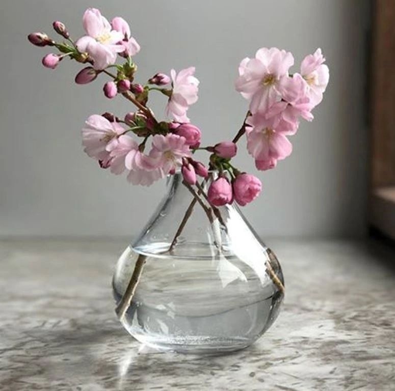 Воздушный натюрморт. Кошелева Video by #МАРАФОНЫ С ЮЛИЕЙ КОШЕЛЕВОЙ [720p]2 часть смотреть онлайн