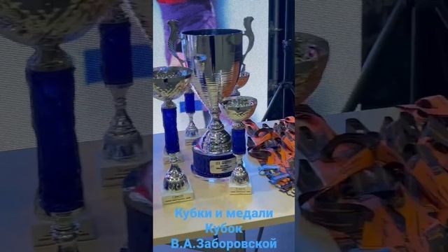 Кубки и медали на кубке В.А.Зборовского смотреть онлайн
