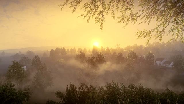 Рассвет в сельской местности. Пенье птиц, карканье ворон, шелест листвы и травы, звуки поездов.