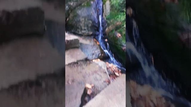 Горячий Ключ -Дантово ущелье,наскальная роспись,природные ступени,подъем на скалу Петушок