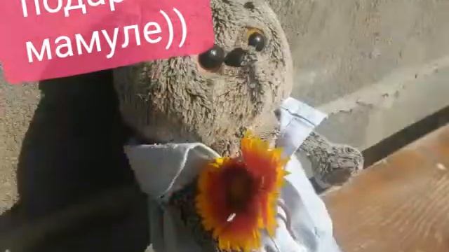 Мы с басясиком на даче)/остались на ночь)! смотреть онлайн