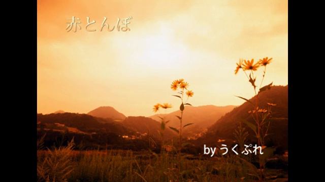 赤とんぼ　ウクレレソロ смотреть онлайн