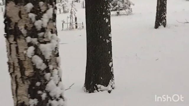 Зимняя Москва. смотреть онлайн