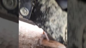 пневмоподвеска  перед соболь4х4