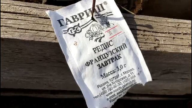 Редис - с него начинается весна!! смотреть онлайн