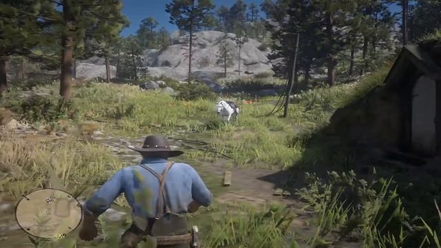 Red Dead Redemption 2 - Recipe ''Poisoned Arrows'' / Рецепт ''Отравленной стрелы'' смотреть онлайн