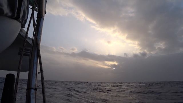 Ветер от слабого до сильного неудачные поклевки | Трансатлантика, день 16 смотреть онлайн