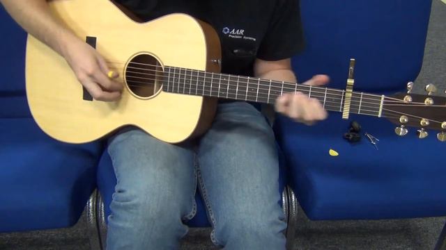 Halcyon OM Guitar Demo #2