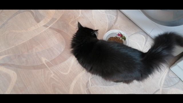 Жареный речной окунь//пожарить с икрой смотреть онлайн