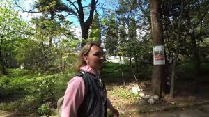 ЧЕРНОГОРИЯ / ТИВАТ - Стоит ли остановиться в Тивате?