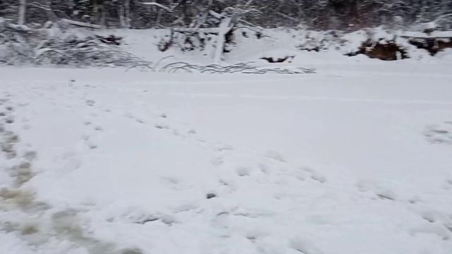 РЫБАЛКА НА ДИКОМ ОЗЕРЕ КОРОТКО О ПОЕЗДКЕ!!! смотреть онлайн