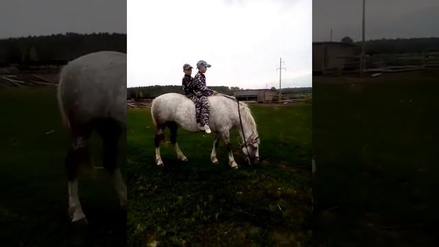 Земетчинский район. Салтыково смотреть онлайн