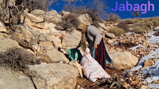 Tahmina Going To The Mountains For Firewood In Winter Snow