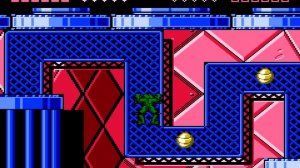 Battletoads & Double Dragon (NES)||