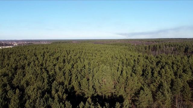 Брянский лес осенью смотреть онлайн