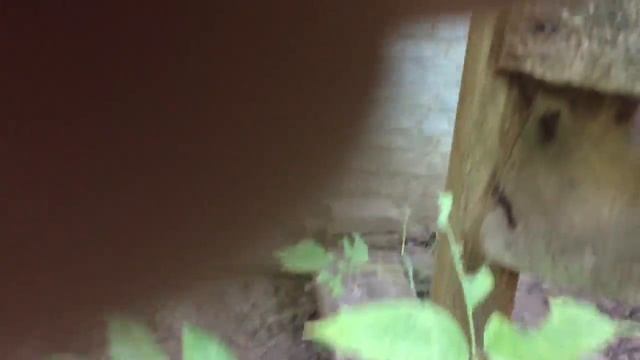 Писаревка ч2 2017 смотреть онлайн