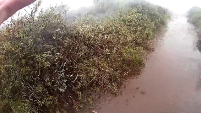 Тайга горит,Карелия!!! 2.08.18 смотреть онлайн