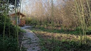 Наше жильë в Абхазии. Село. Кындыг. Полный обзор с участком?. Октябрь2023#абхазия2023.13ч.