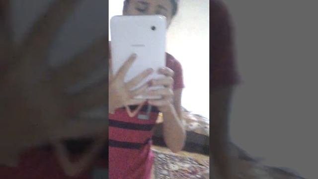 Что зделать чтоб хомяк не кусался