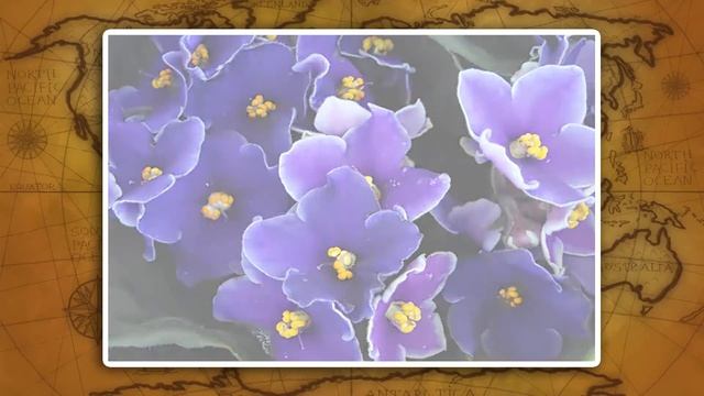 Биологические ресурсы и человек. Видеоурок по географии 8 класс смотреть онлайн