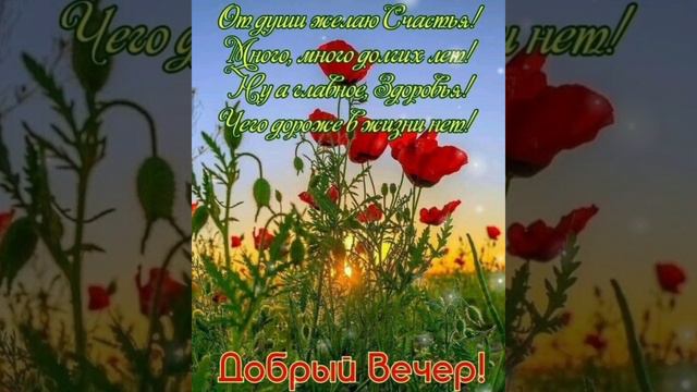 Прекрасного летнего вечера!Пускай пройдёт он не спеша.Желаю хорошего летнего вечера! смотреть онлайн