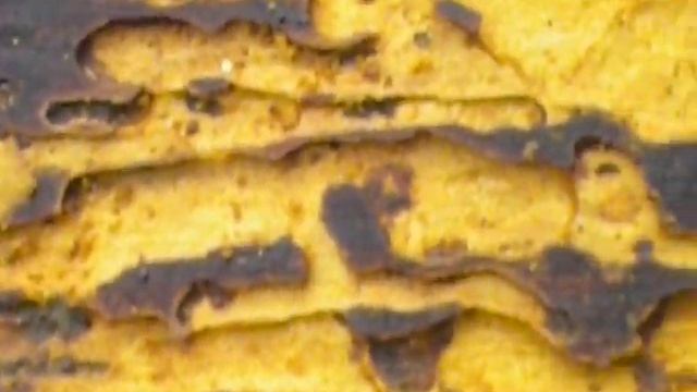 Дохлый клещ смотреть онлайн