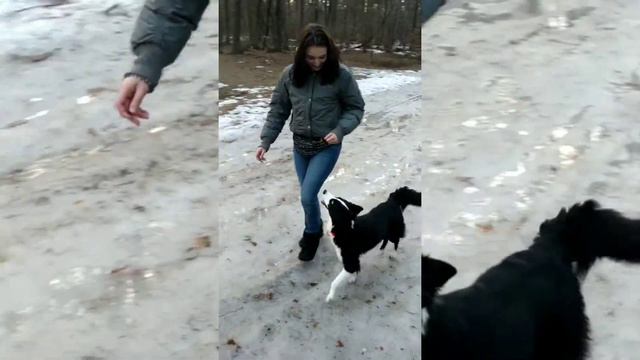 Лайка танцует! "Неадекватность" в течку! Открытие плавательного сезона с: смотреть онлайн