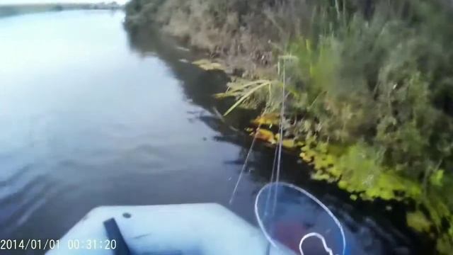 Щучка из под берега, на спининг с лодки. смотреть онлайн