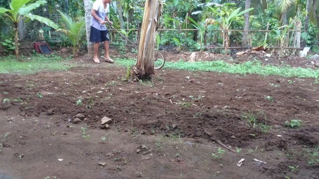 Alat Pertanian Manual