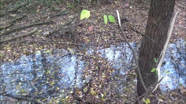 Река жизни! смотреть онлайн