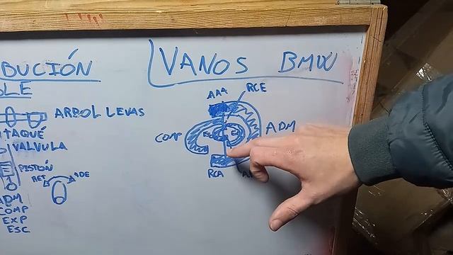 COMO REALMENTE FUNCIONA EL VANOS DE BMW (DISTRIBUCIÓN VARIABLE) смотреть онлайн
