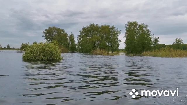 Обкатка мотора Suzuki DF20A. Лодка ПВХ Boatsman 400 SK смотреть онлайн