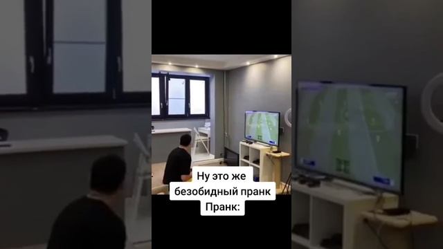 Дико ржачный пранк с вороной!))) смотреть онлайн