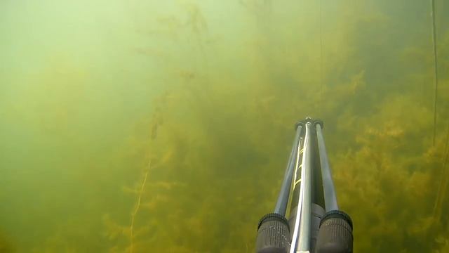 Первая подводная охота,новичок на подводной охоте, охота в траве.Арбалет CRESSI OUX, Волгоград. смотреть онлайн