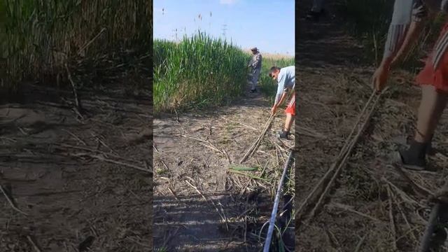 Когда на рыбалке девушка . . . Рыбалка с женой.. смотреть онлайн
