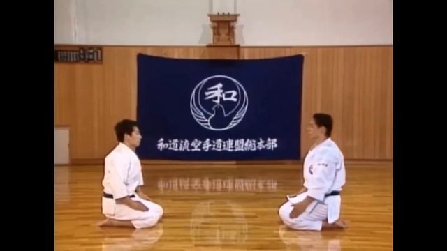 Tecnicas Wado Ryu Karate do Idori 1al 10 . смотреть онлайн