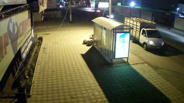 Уличная IP камера ActiveCam AC-D2031IR3, 3,6 Mm., 3Mp, 12 к.с., Цифромания, Ночь Газель Люди