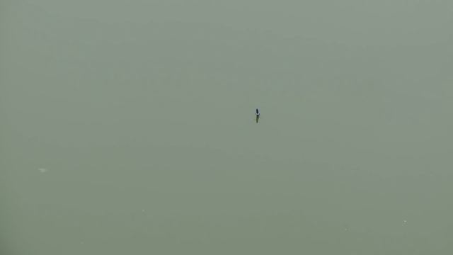 Ловля карася на удочку. Даже дети могут поймать карася. смотреть онлайн