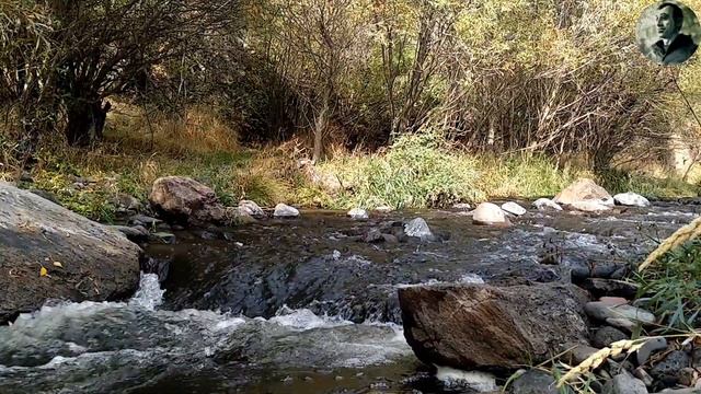 О современном традиционном обществе. смотреть онлайн