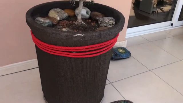 Красный! Хочу больше красного цвета! смотреть онлайн