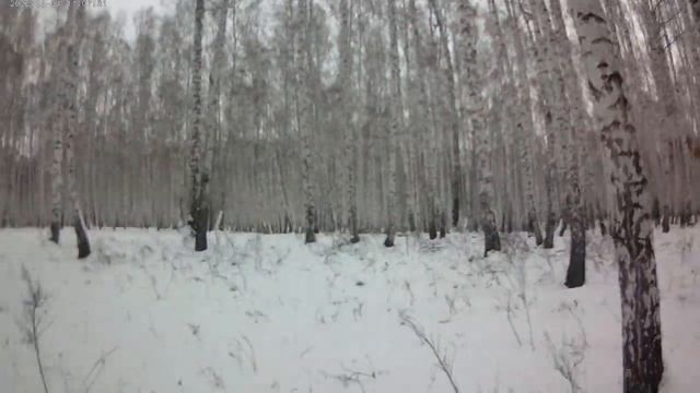 Отота на куницу с РЕЛ