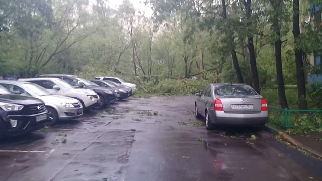 Москва. ЮВАО. Буреломчик 29 мая 2017 года смотреть онлайн