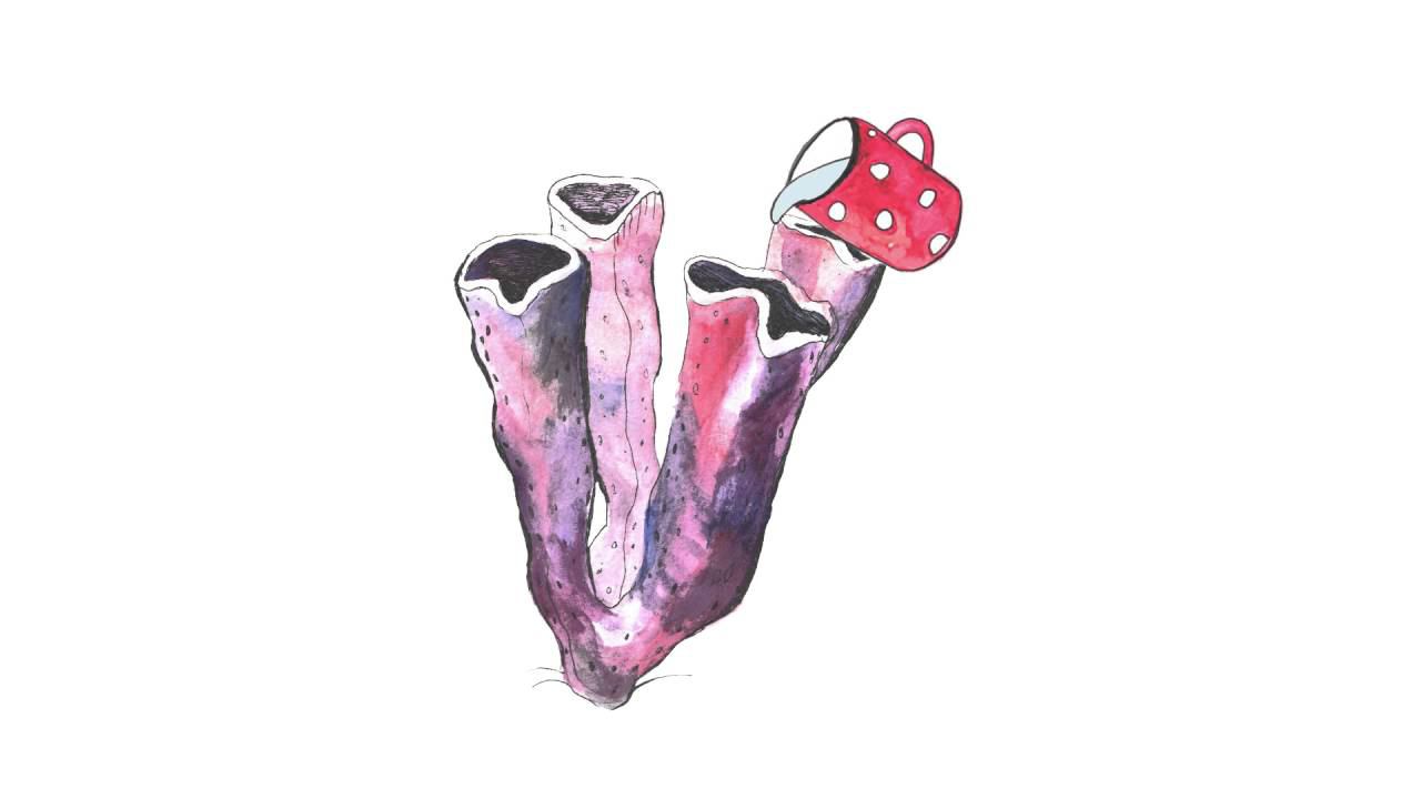 5.3. Губки смотреть онлайн