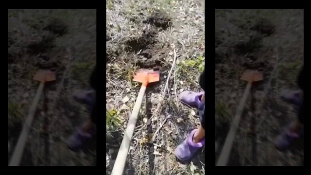 Летний коп, выпуск 1 смотреть онлайн