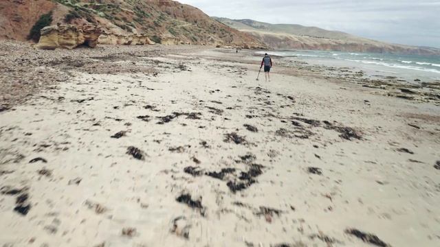 Minelab Vanquish 440 Metal Detector